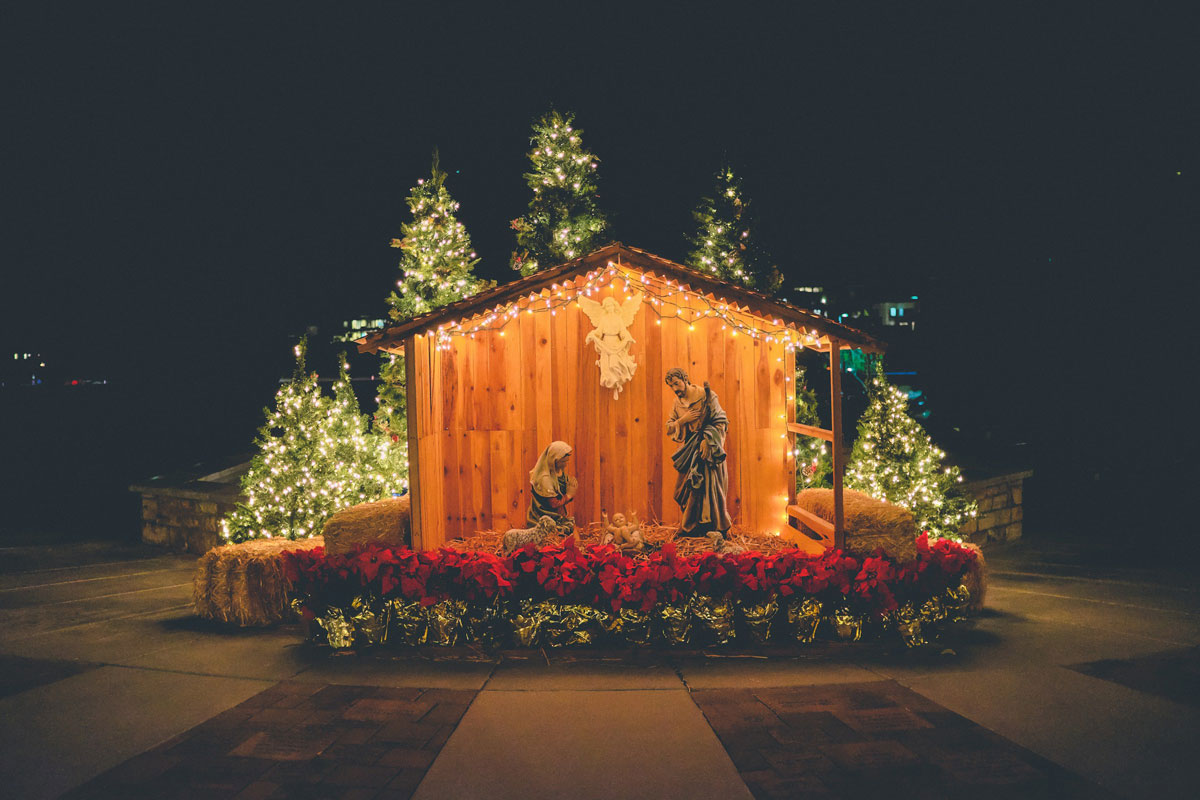 Nativity with lighted Christmas trees in the background